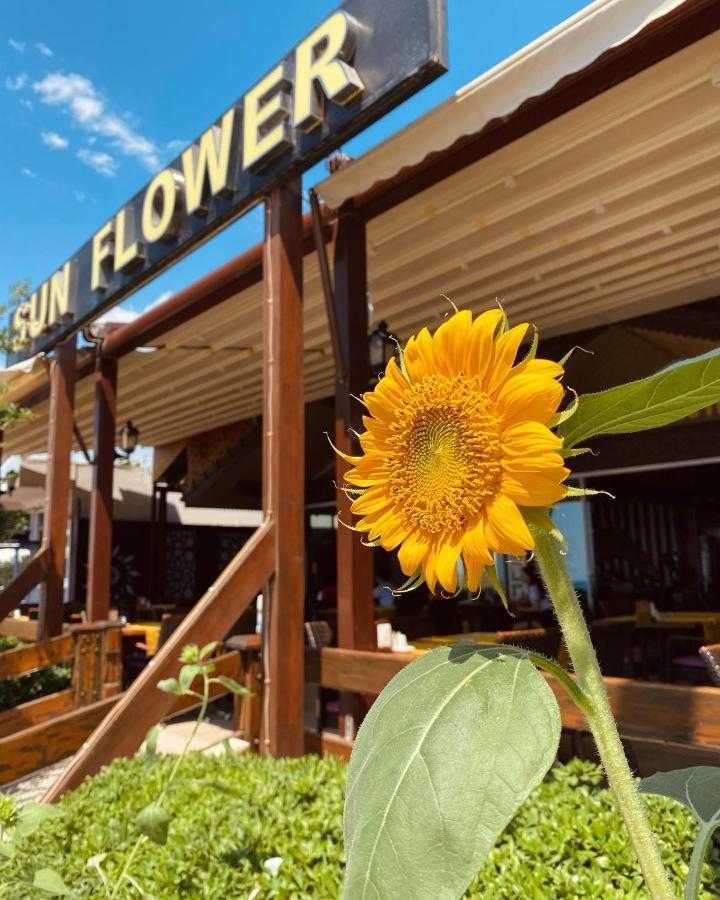Sun Flower Apart Hotel Сиде Екстериор снимка